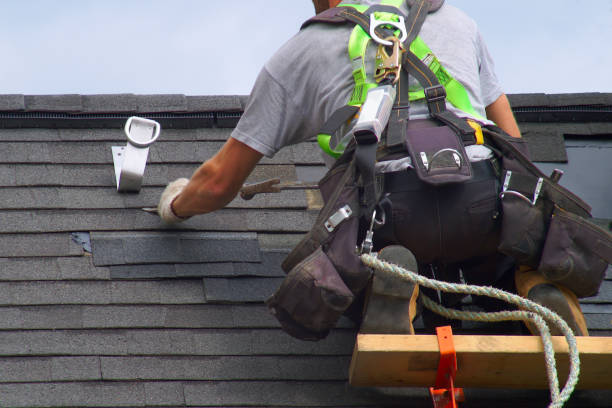 Best Roof Gutter Cleaning  in Bort, GA
