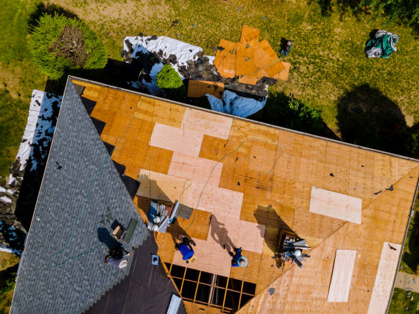 Best Storm Damage Roof Repair  in Bort, GA