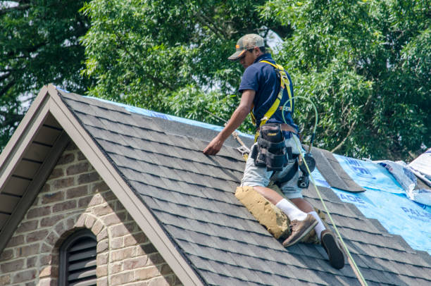 Best Gutter Installation and Roofing  in Bort, GA